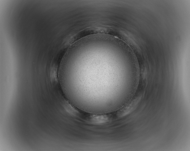 X0000116310185200912071316