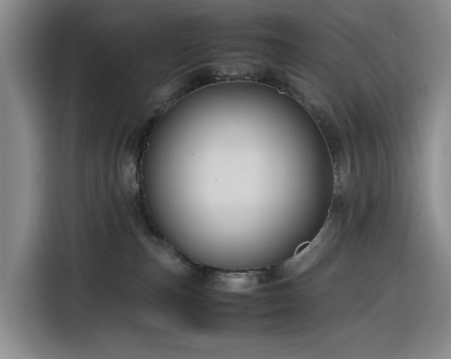 X0000116310187200912071316