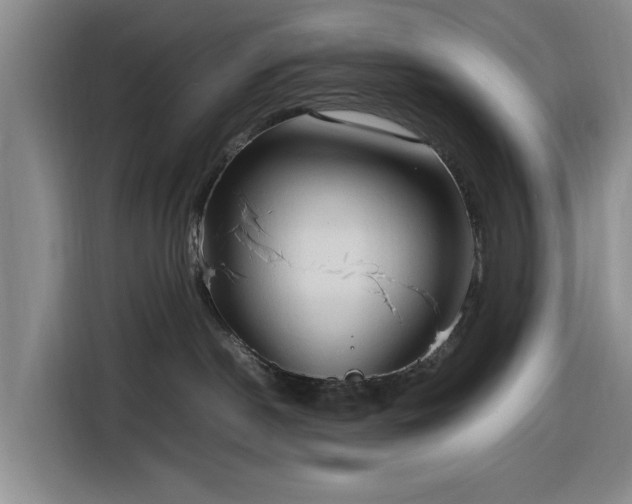 X0000116310190200912071316