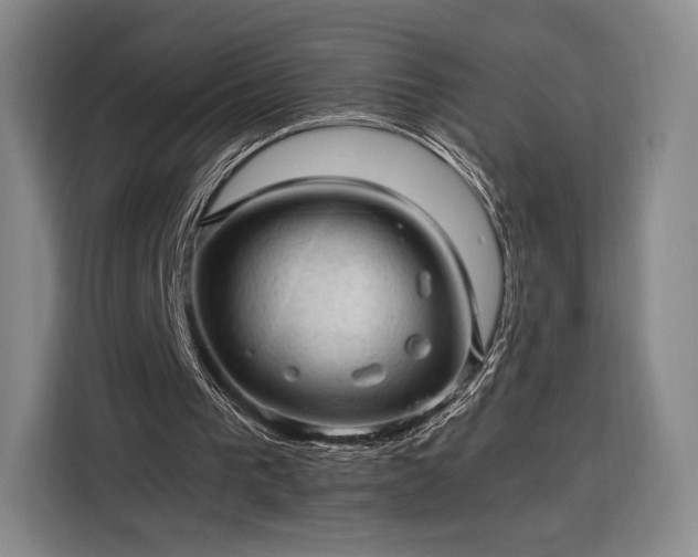 X0000116310193200912071315