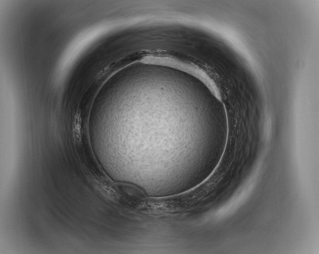 X0000116310194200912071315