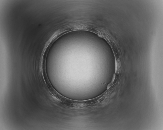 X0000116310195200912071315