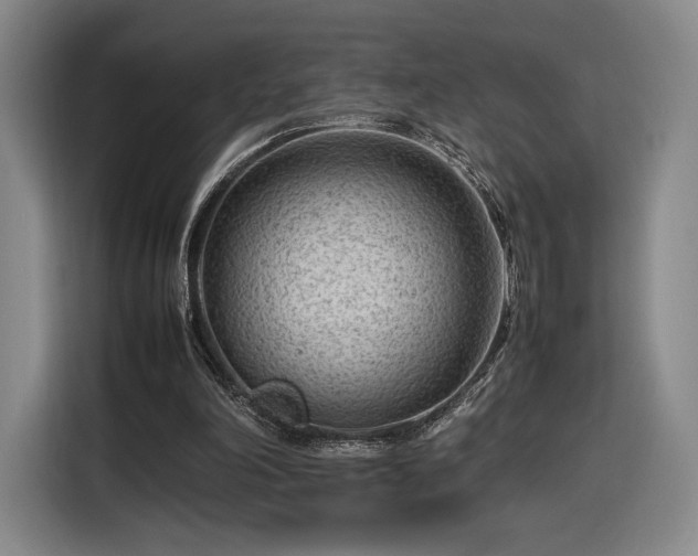 X0000116310198200912071315