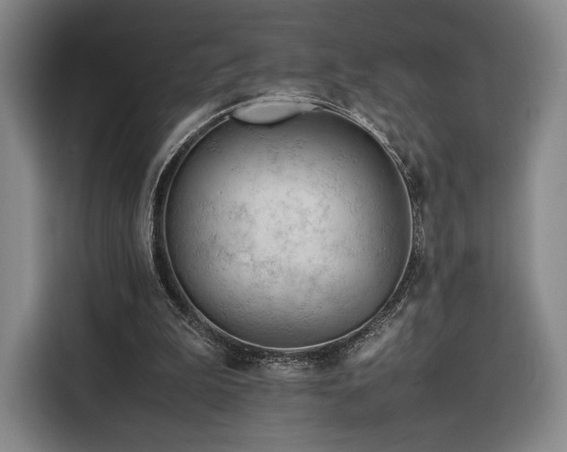 X0000116310199200912071315