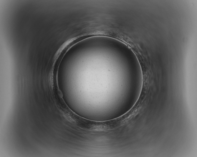 X0000116310200200912071315