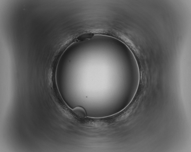 X0000116310201200912071315