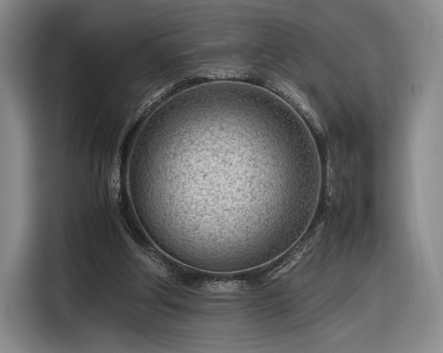 X0000116310202200912071315