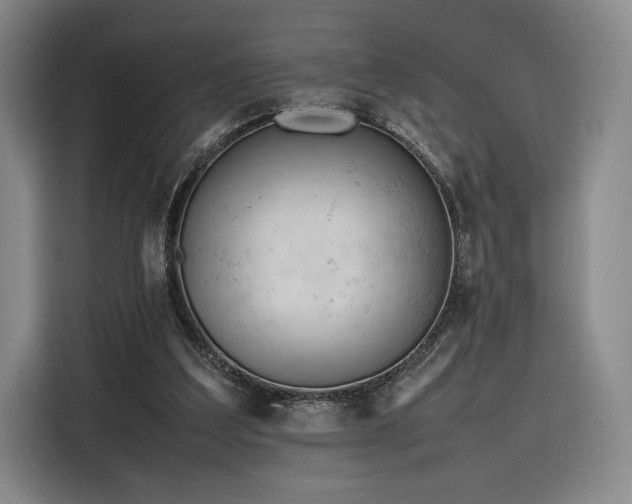 X0000116310203200912071315