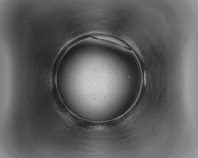 X0000116310204200912071315