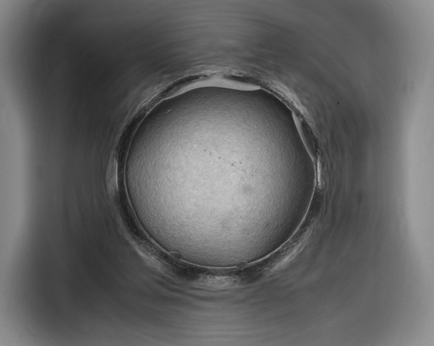 X0000116310205200912071315