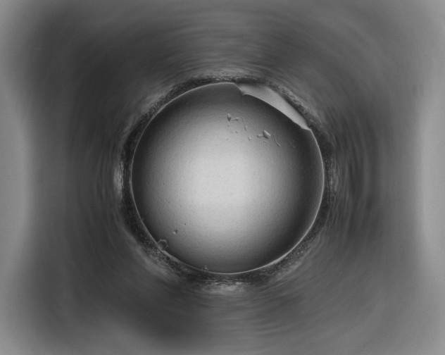 X0000116310206200912071315