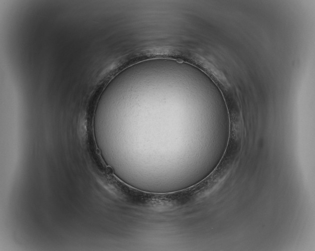 X0000116310207200912071315