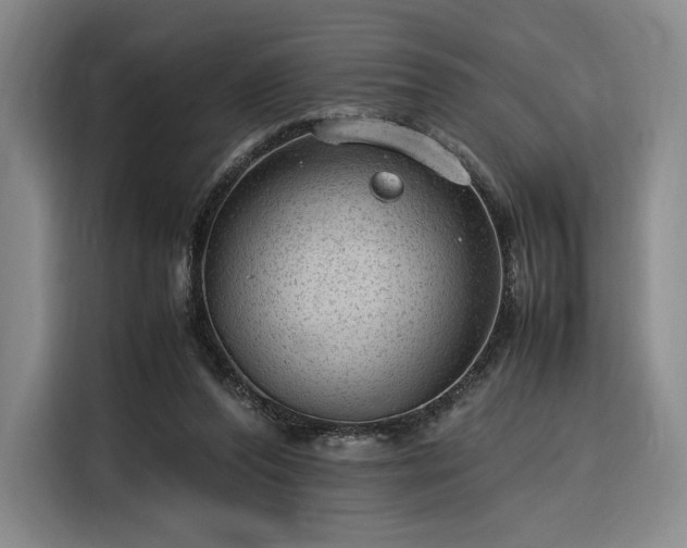 X0000116310208200912071315