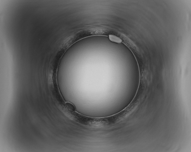 X0000116310209200912071315