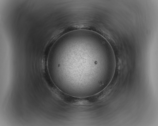 X0000116310210200912071315