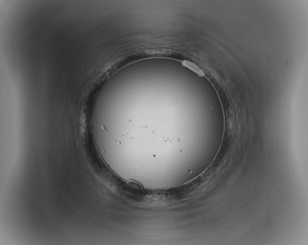 X0000116310211200912071315