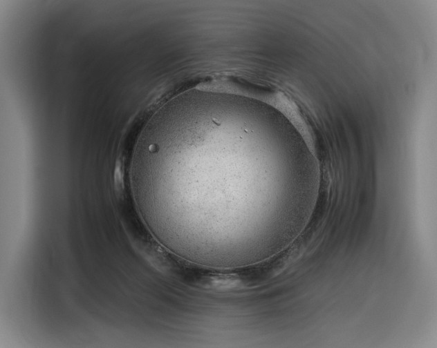 X0000116310214200912071315