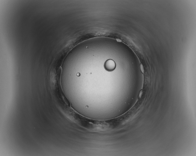 X0000116310215200912071315