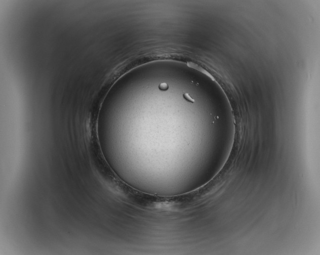 X0000116310216200912071315