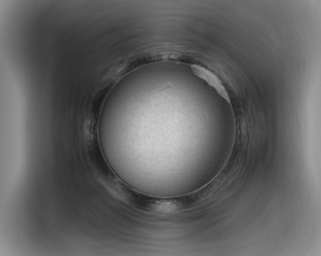 X0000116310218200912071315