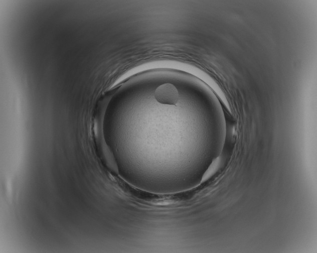 X0000116310219200912071315