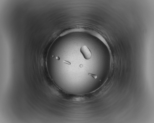 X0000116310220200912071315