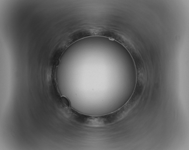 X0000116310221200912071315