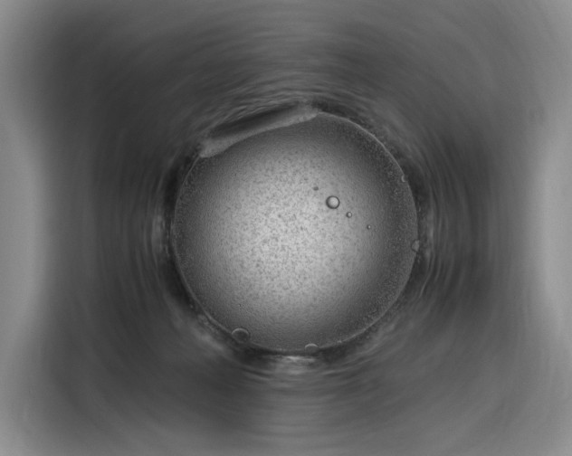 X0000116310222200912071315