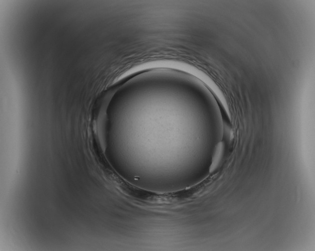 X0000116310223200912071315