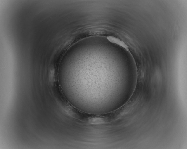 X0000116310224200912071315