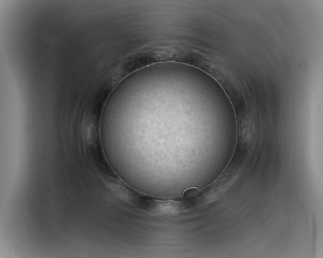 X0000116310226200912071315