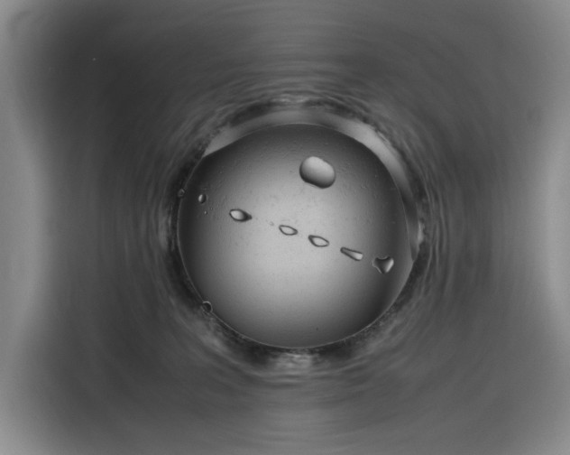 X0000116310227200912071315