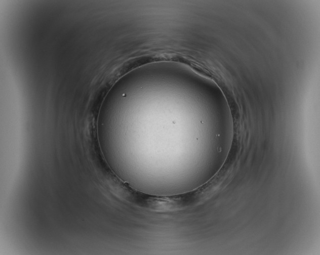 X0000116310229200912071315