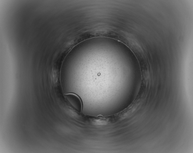 X0000116310232200912071315