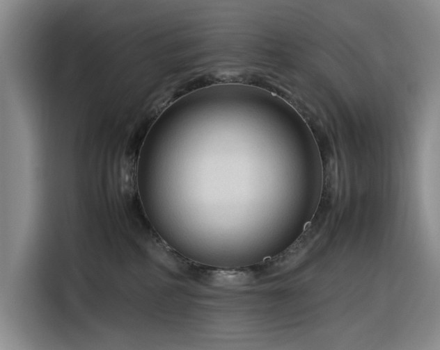 X0000116310234200912071315