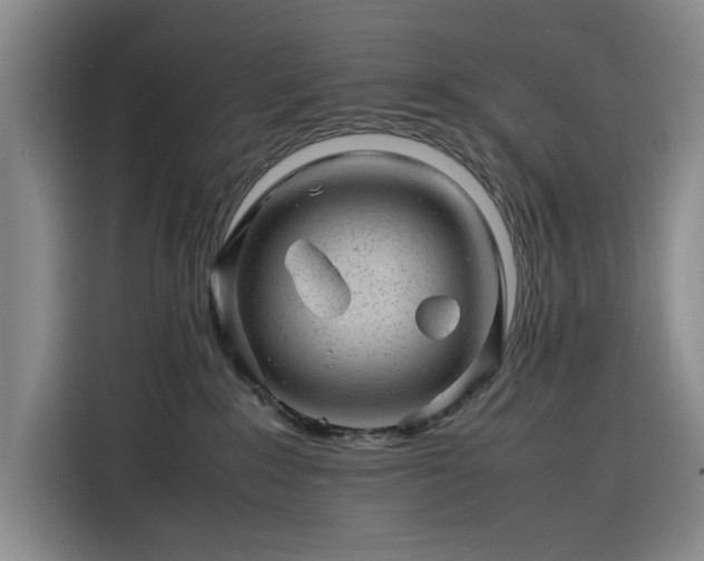 X0000116310235200912071315