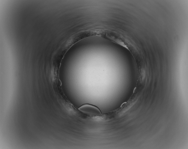 X0000116310236200912071315