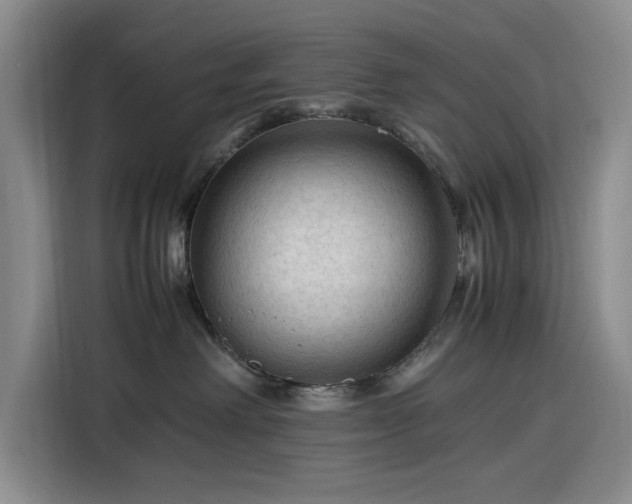 X0000116310238200912071315