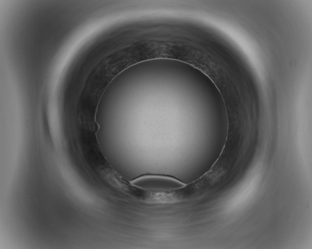 X0000116310239200912071315