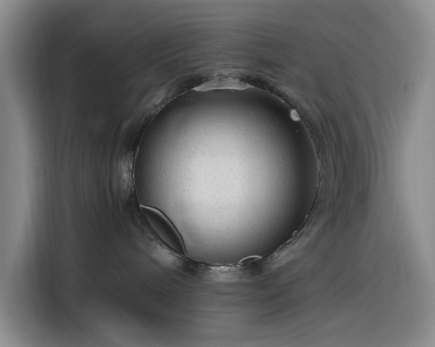 X0000116310240200912071315