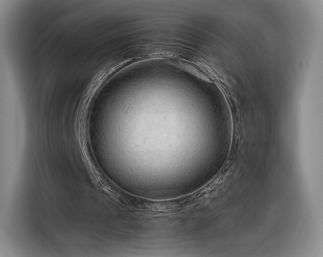 X0000116310241200912071314