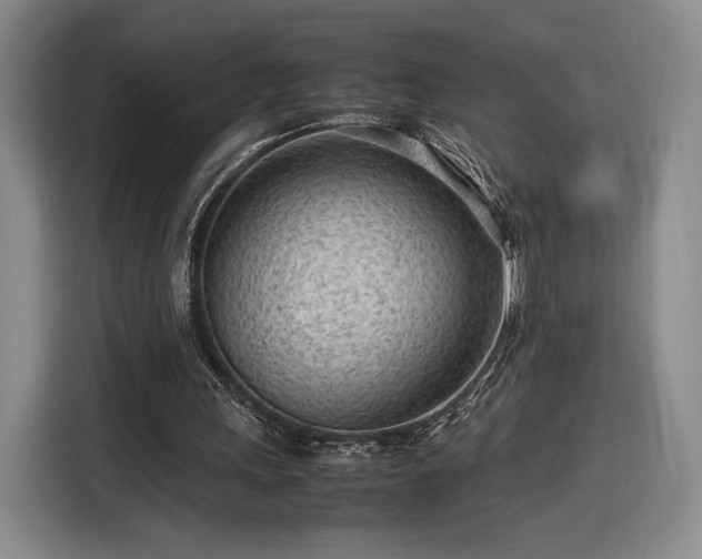 X0000116310243200912071314