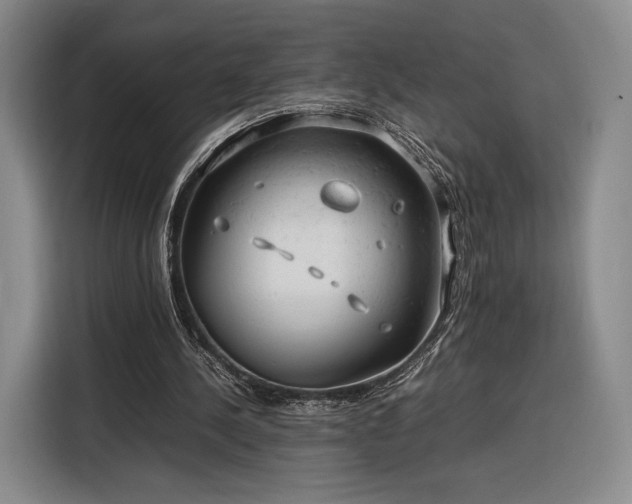 X0000116310244200912071314