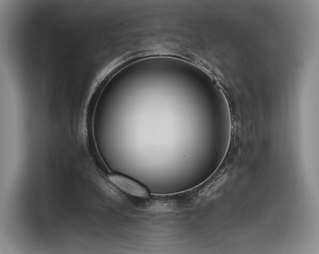 X0000116310248200912071314