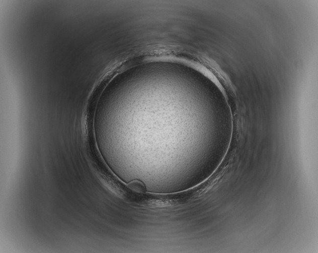 X0000116310250200912071314