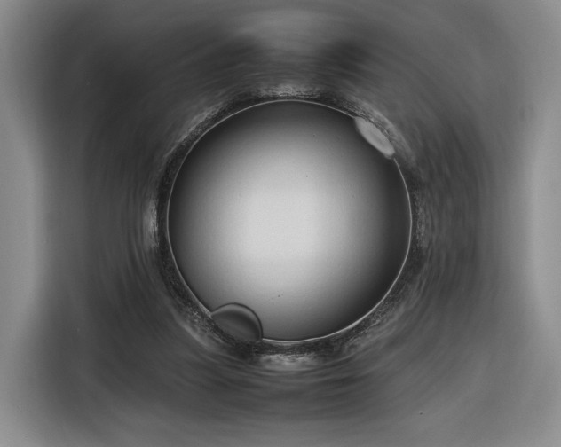 X0000116310251200912071314