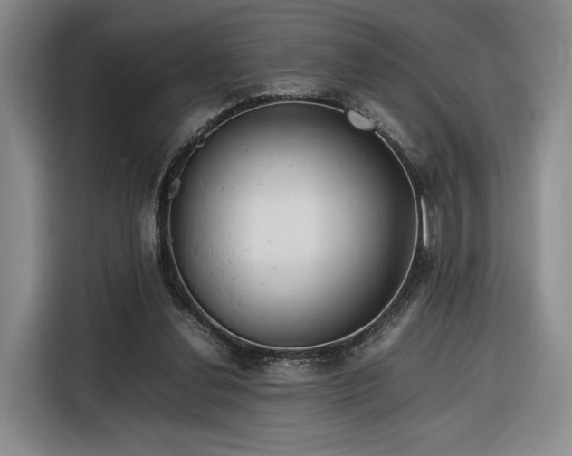 X0000116310252200912071314