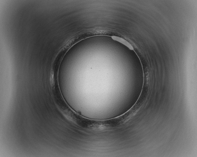 X0000116310254200912071314