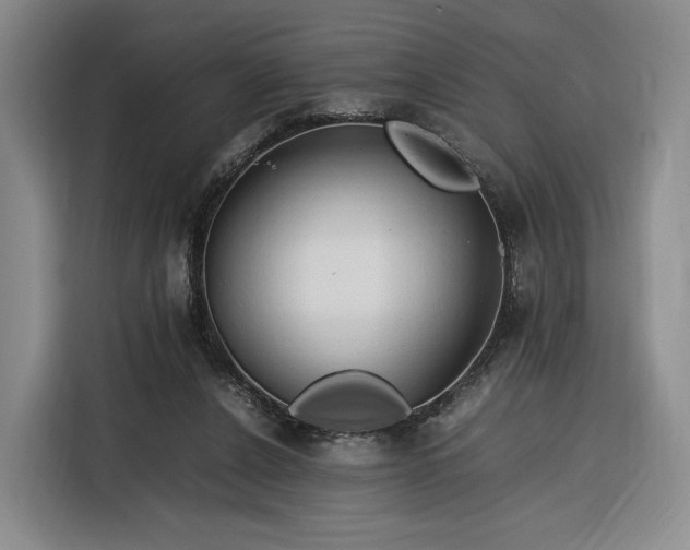 X0000116310256200912071314