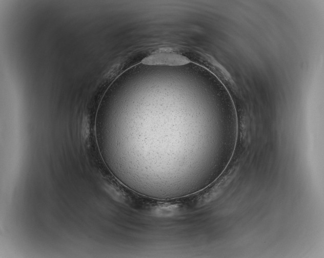 X0000116310257200912071314